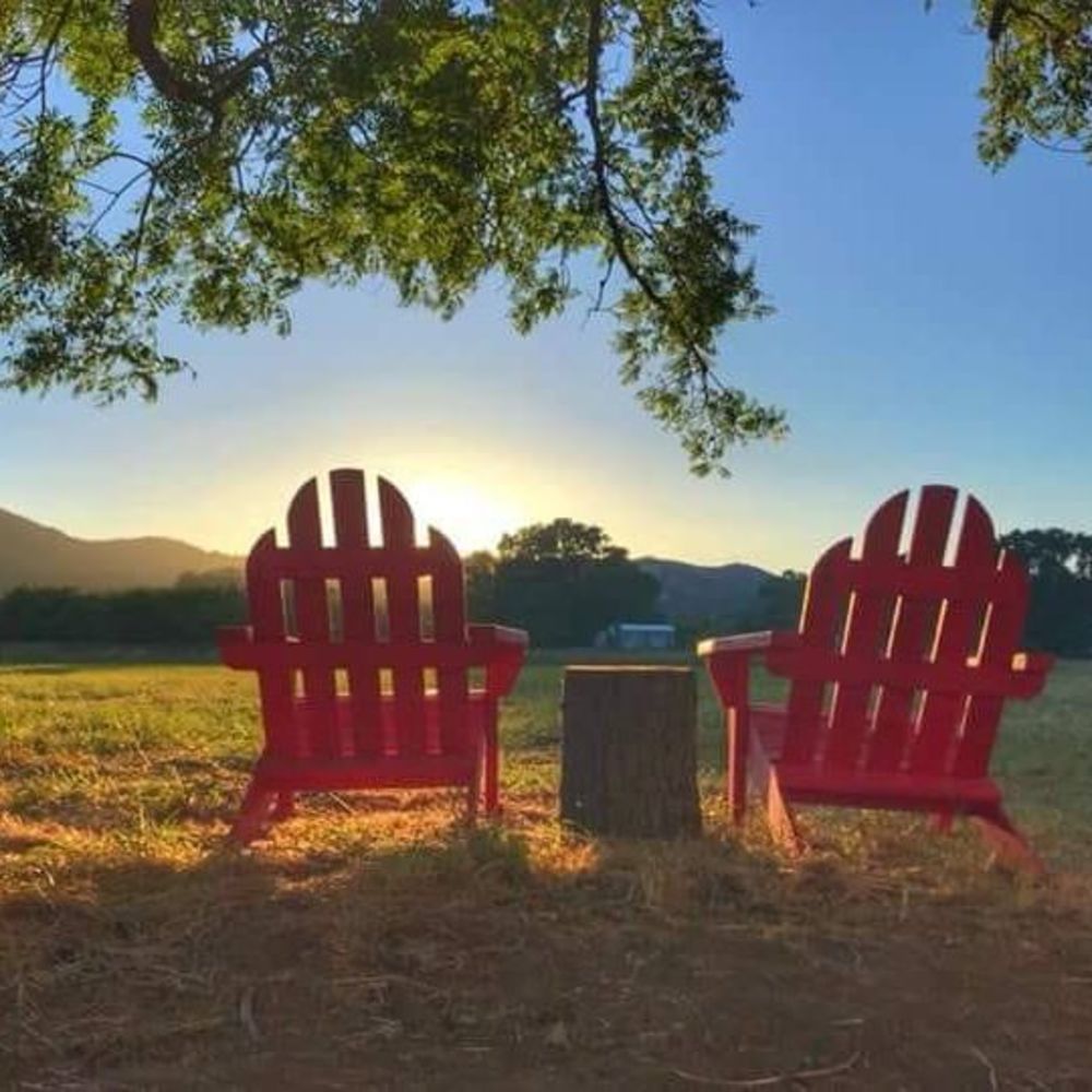 Meet your Posher, Chato